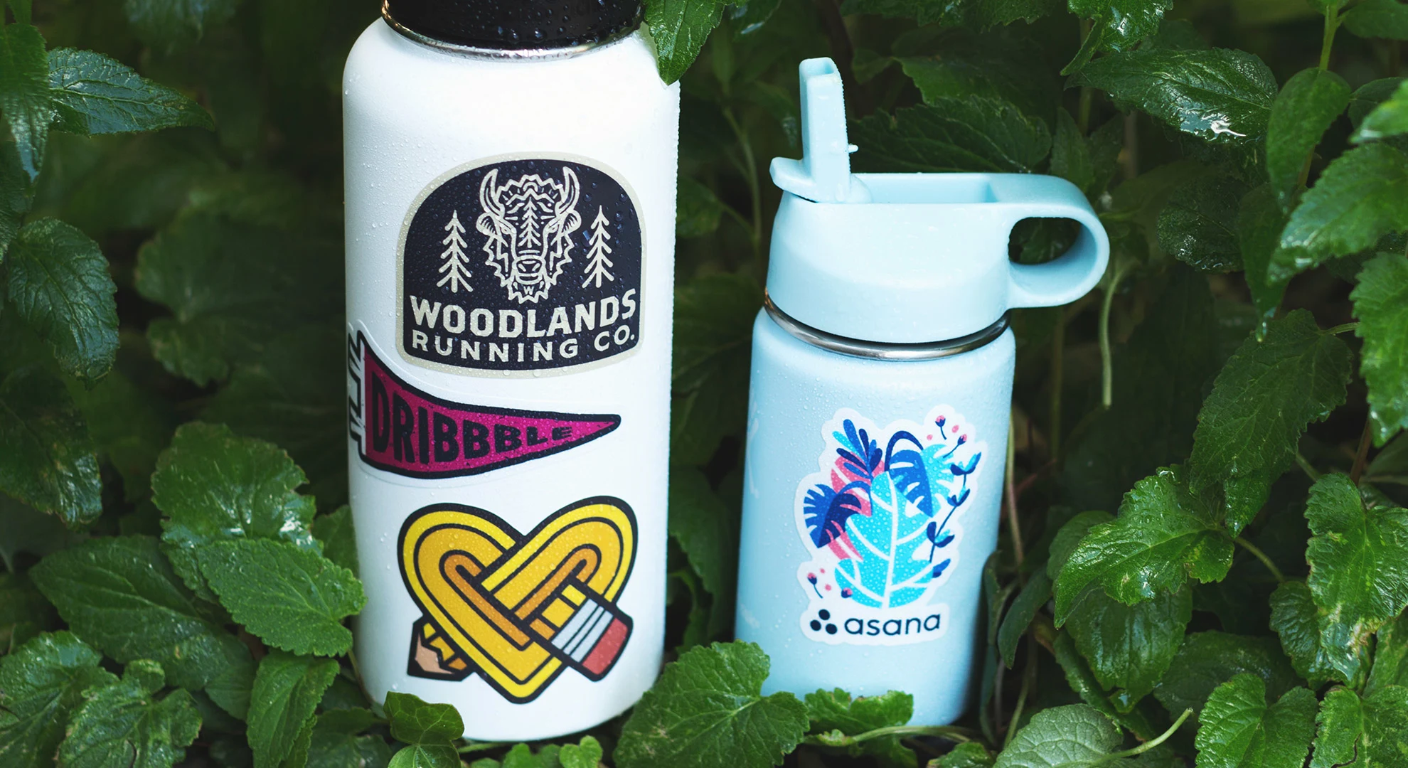 Animal Admiration: Wildlife-Inspired Water Bottle Stickers for Nature Lovers插图1