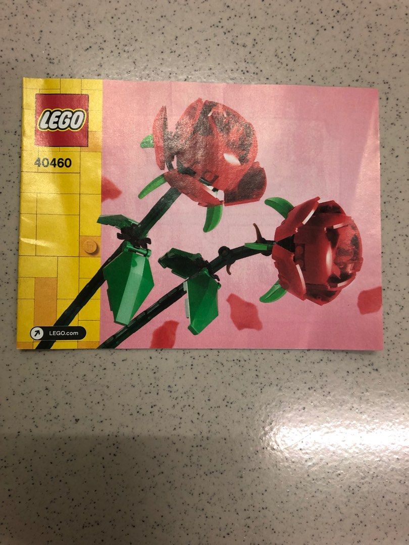 Blossoming at Home: Lego Rose-Inspired Home Gardening in Indoor, Vertical, Edible, and Children’s Gardens插图