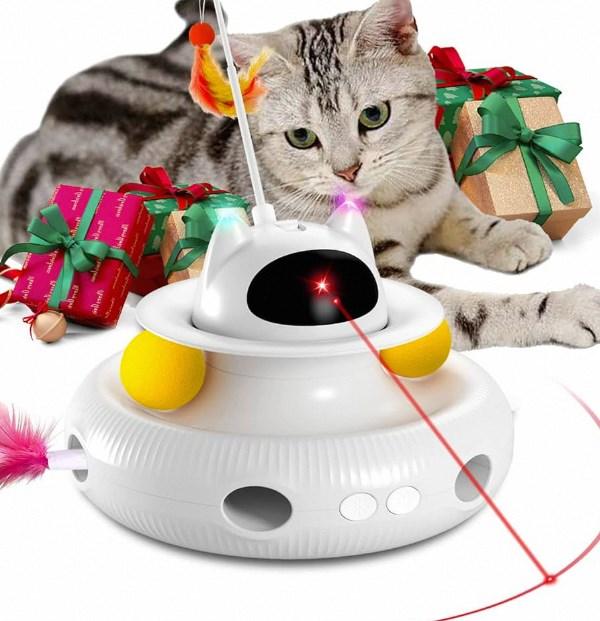 Paws Play: Cat Toy Ideas for Fun and Exercise插图4