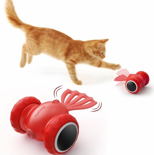 Paws Play: Cat Toy Ideas for Fun and Exercise插图1