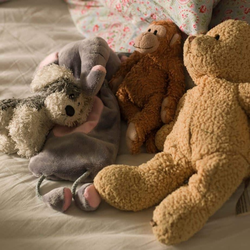 Cleaning stuffed animals