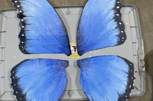 butterfly paper mache