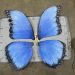 Transform Your Space with Butterfly Paper Mache Art in 2025缩略图 butterfly paper mache